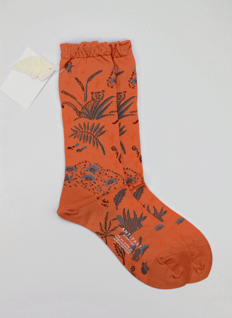 Antipast<p>safari<p>cotton crew sock<p>orange