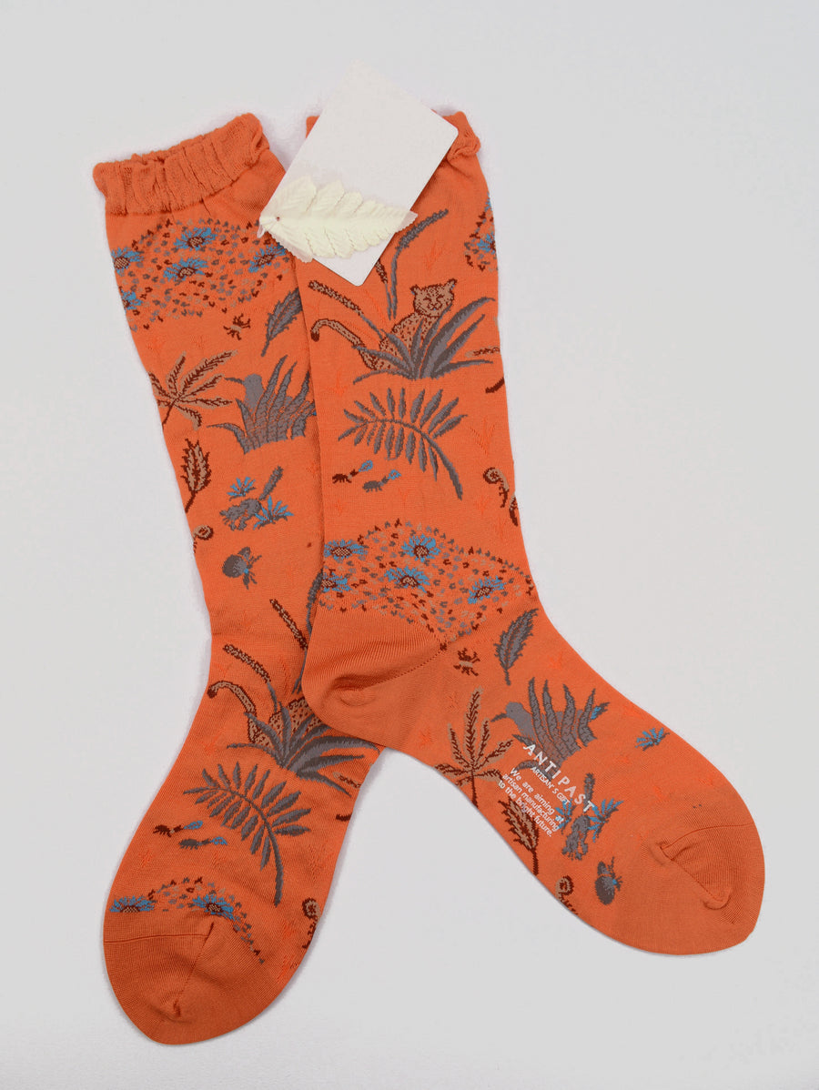 Antipast<p>safari<p>cotton crew sock<p>orange